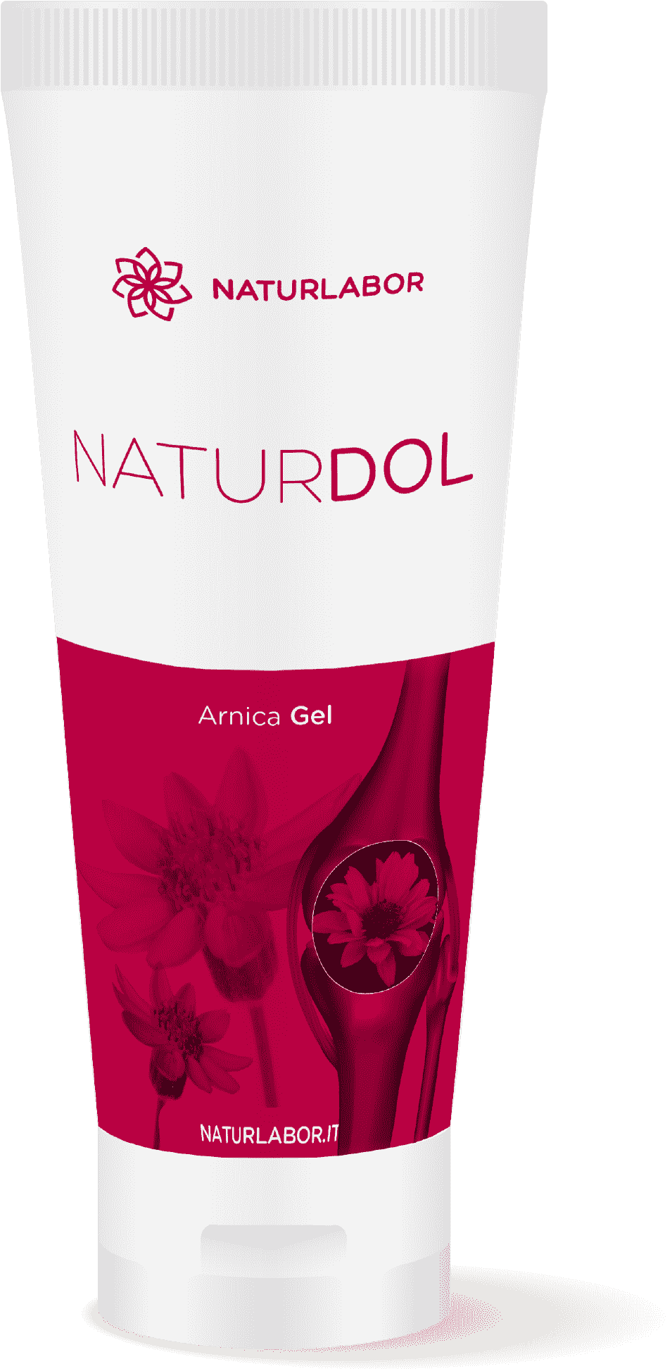 NATURDOL ARNICA GEL 100 ML NATURLABOR - farmaster.it