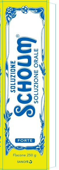 SOLUZIONE SCHOUM*FTE 250G - farmaster.it