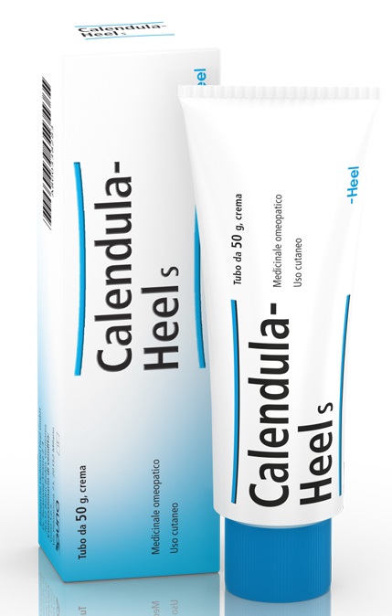 HEEL CALENDULA SALBE POMATA M 50 G - farmaster.it