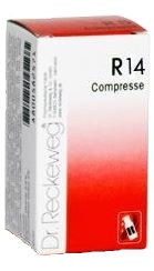 RECKEWEG R14 100 COMPRESSE - farmaster.it