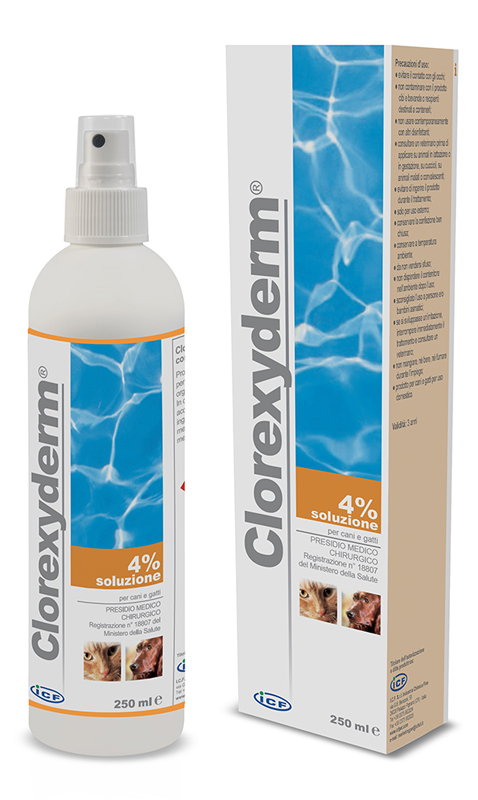 CLOREXYDERM SOLUZIONE 4% 250 ML - farmaster.it