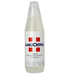 DISINFETTANTE IGIENIZZANTE A BASE DI IPOCLORITO DI SODIO ANTIMICROBICO AD AMPIO SPETTRO D'AZIONE AMUCHINA LIQUIDA 100% 1000 ML - farmaster.it