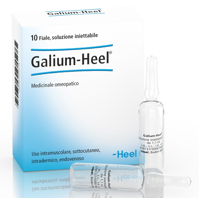 HEEL GALIUM 10 FIALE DA 1,1 ML L'UNA - farmaster.it
