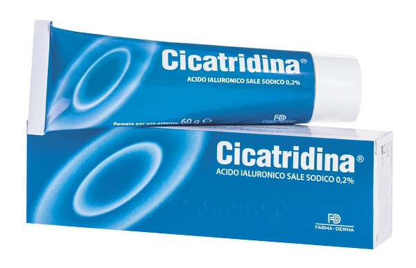 CICATRIDINA POMATA 60 G - farmaster.it