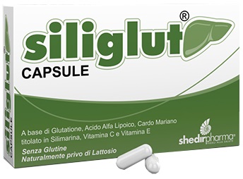 SILIGLUT 20 CAPSULE - farmaster.it