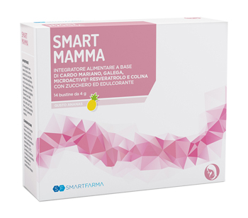 SMART MAMMA 14 BUSTINE GUSTO ANANAS - farmaster.it