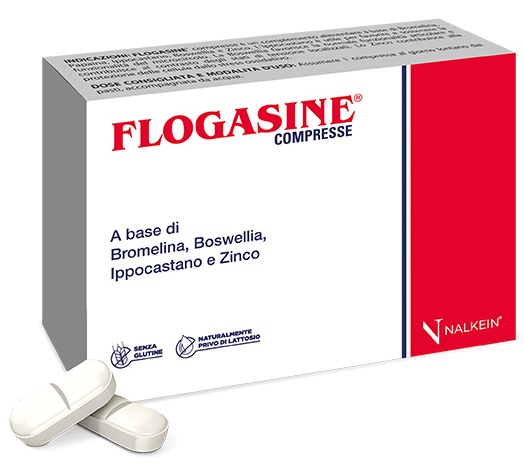 FLOGASINE 20 COMPRESSE - farmaster.it