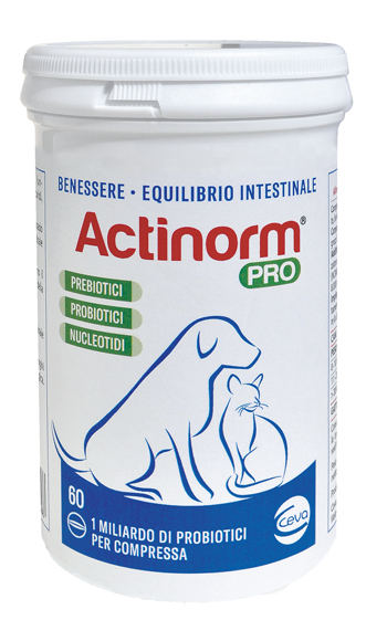 ACTINORM PRO FLACONE 60 COMPRESSE - farmaster.it